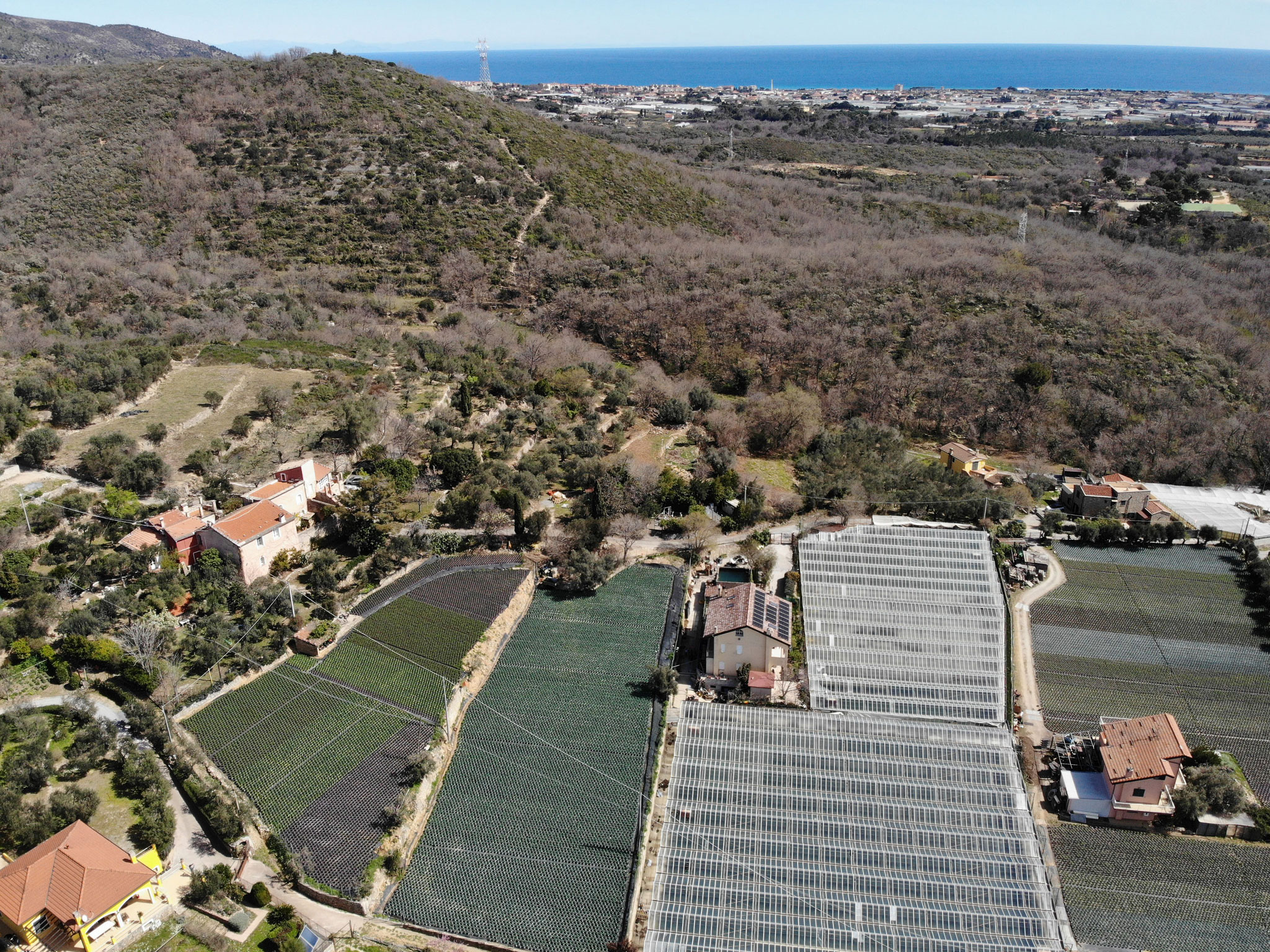 TipicoSì il territorio della piana di Albenga